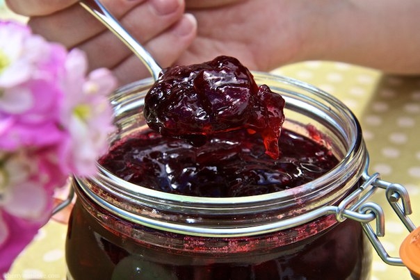 Рецепт джема из слив Рецепт джема из слив