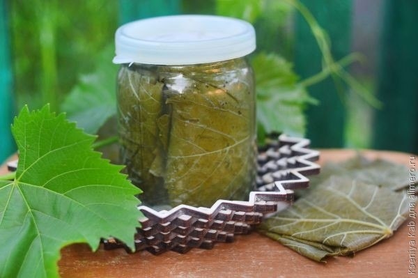 Маринованные виноградные листья Маринованные виноградные листья