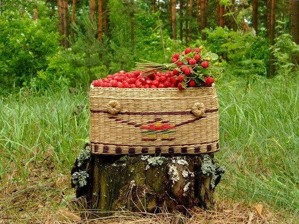 Запах ароматной земляники Запах ароматной земляники