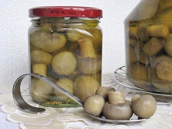 ШАМПИНЬОНЫ НА ЗИМУ ШАМПИНЬОНЫ НА ЗИМУ