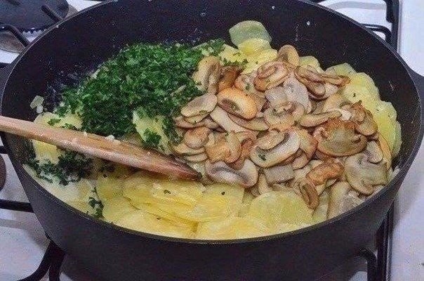 Картошка с грибами в сметане Картошка с грибами в сметане