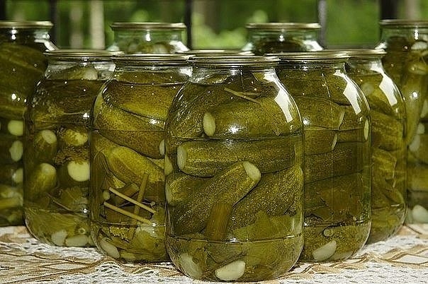 Огурцы, соленые без уксуса Огурцы, соленые без уксуса