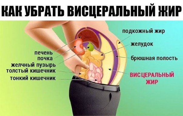 Висцеральный жир — невидимый враг! Избавилась от этой гадости… Висцеральный жир — невидимый враг! Избавилась от этой гадости…