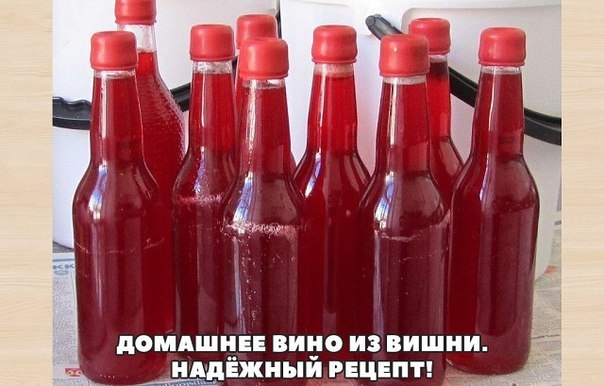 Домашнее вино из вишни. Надёжный рецепт! Домашнее вино из вишни. Надёжный рецепт!