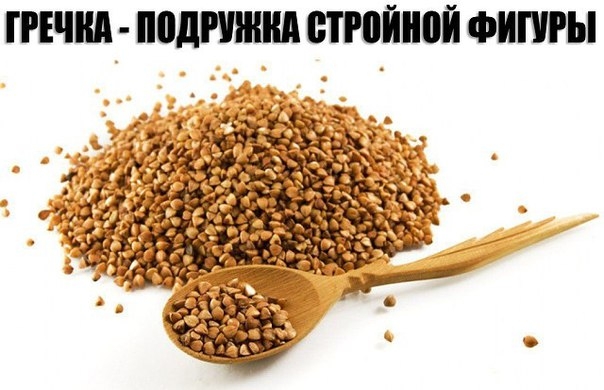 ГРЕЧКА - ПОДРУЖКА СТРОЙНОЙ ФИГУРЫ ГРЕЧКА - ПОДРУЖКА СТРОЙНОЙ ФИГУРЫ