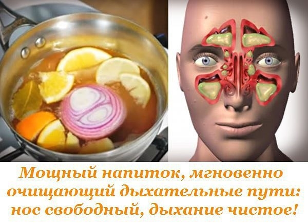 Мощный напиток, мгновенно очищающий дыхательные пути: нос свободный, дыхание чистое! Мощный напиток, мгновенно очищающий дыхательные пути: нос свободный, дыхание чистое!