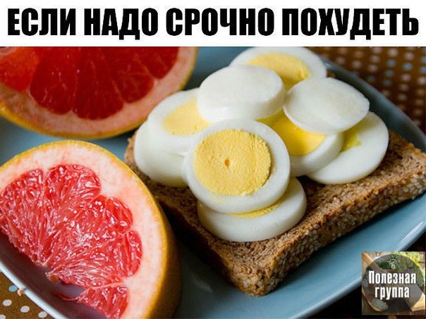 ЕСЛИ НАДО СРОЧНО ПОХУДЕТЬ.. ЕСЛИ НАДО СРОЧНО ПОХУДЕТЬ..