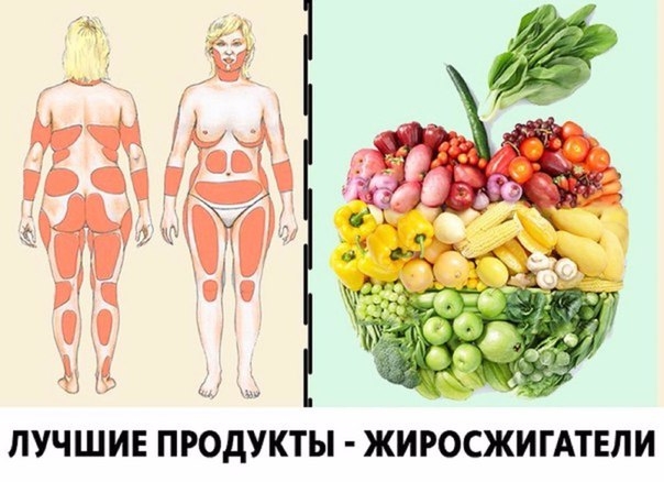 Наши специалисты по здоровому питанию составили список продуктов, которые ведут активную борьбу с ли Наши специалисты по здоровому питанию составили список продуктов, которые ведут активную борьбу с ли