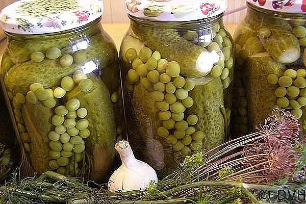Набор для оливье из зеленого горошка и огурцов (Пошаговый рецепт) Набор для оливье из зеленого горошка и огурцов (Пошаговый рецепт)