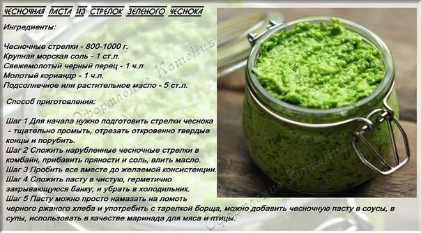 Паста из чесночных стрелок на зиму Паста из чесночных стрелок на зиму