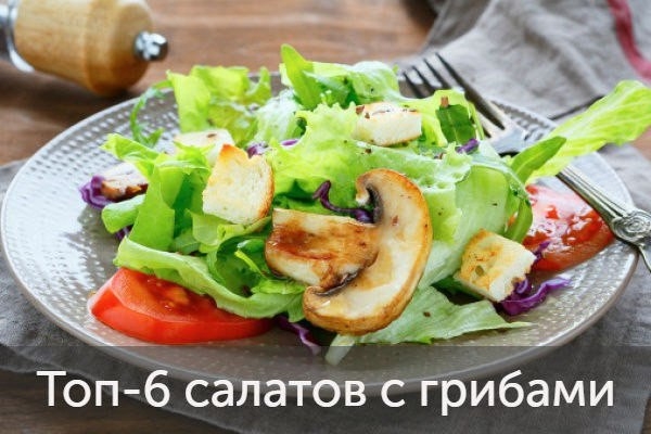 Топ-6 салатов с грибами Топ-6 салатов с грибами