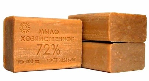 Мыло спасет сад от вредителей Мыло спасет сад от вредителей