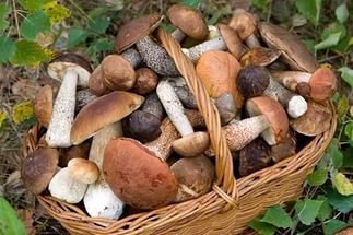 Грибная икра – это очень необычная и вкусная заготовка, один из лучших вариантов того, как можно зап Грибная икра – это очень необычная и вкусная заготовка, один из лучших вариантов того, как можно зап