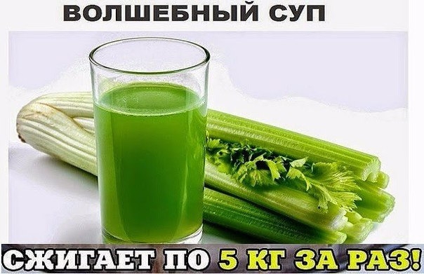 Суп из сельдерея для похудения. Суп из сельдерея для похудения.