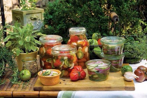 Подборка вкусных заготовок Подборка вкусных заготовок