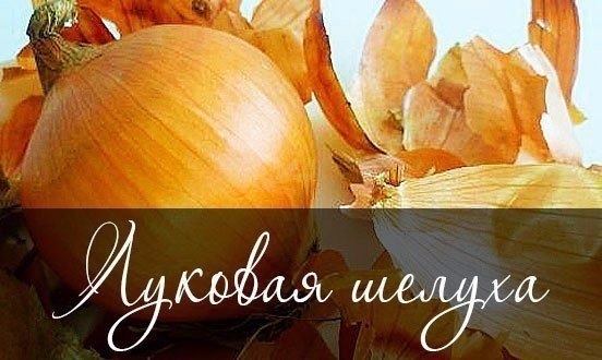 Луковая шелуха – это уникальное природное средство для борьбы с вредителями и отличное удобрение для Луковая шелуха – это уникальное природное средство для борьбы с вредителями и отличное удобрение для