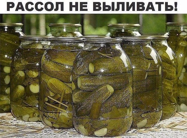 РАССОЛ НЕ ВЫЛИВАЕМ, А ПУСКАЕМ В ДЕЛО!