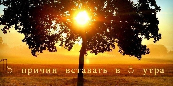 5 причин вставать в 5 утра 5 причин вставать в 5 утра