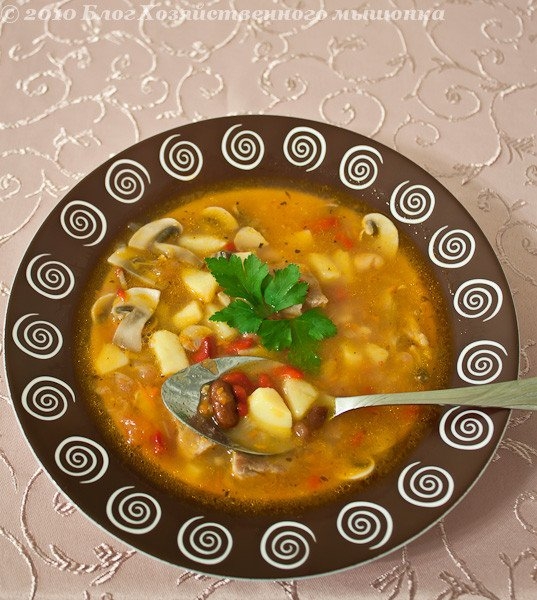 Фасолевый суп с мясом и грибами Фасолевый суп с мясом и грибами