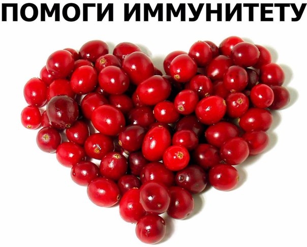 Рецепты полезных и вкусных коктейлей с клюквой Рецепты полезных и вкусных коктейлей с клюквой