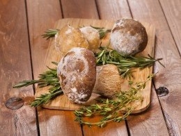 Полезные советы: как заморозить и засушить грибы Полезные советы: как заморозить и засушить грибы