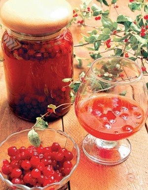 КОМПОТ ИЗ КЛЮКВЫ НА ЗИМУ КОМПОТ ИЗ КЛЮКВЫ НА ЗИМУ