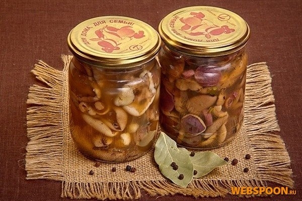 Консервированные маслята Консервированные маслята