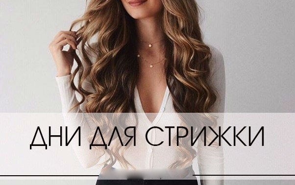 В какой день нужно стричься. В какой день нужно стричься.
