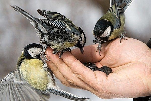 Шел по улицам Бог.. Слушал мысли прохожих.. Шел по улицам Бог.. Слушал мысли прохожих..