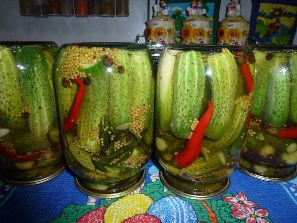 Маринованные огурцы с семенами горчицы от Светланы Вакула (Сусанина) Маринованные огурцы с семенами горчицы от Светланы Вакула (Сусанина)