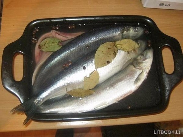 Сельдь пряного посола Сельдь пряного посола