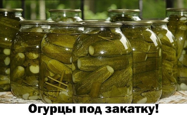 Делюсь простым рецептом огурцов под закатку. Рекомендую использовать овощи небольшого размера, так о Делюсь простым рецептом огурцов под закатку. Рекомендую использовать овощи небольшого размера, так о