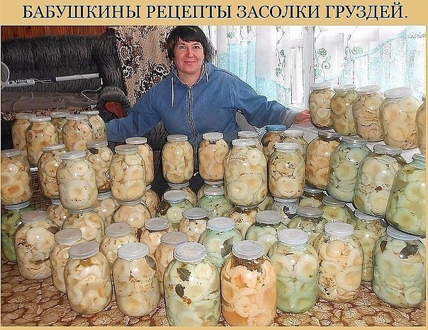Солим грузди: 8 изумительных рецептов! Солим грузди: 8 изумительных рецептов!