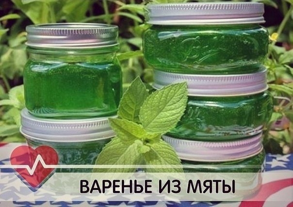 Рецепт: ВАРЕНЬЕ ИЗ МЯТЫ Рецепт: ВАРЕНЬЕ ИЗ МЯТЫ