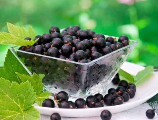 РЕЦЕПТ КОМПОТА ИЗ ЧЕРНОЙ СМОРОДИНЫ