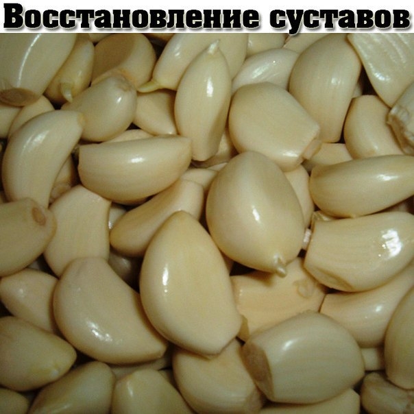 Уникальный рецепт восстановления суставов. Уникальный рецепт восстановления суставов.