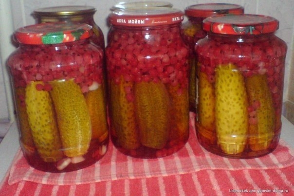 Маринованные огурцы с соком из красной смородины Маринованные огурцы с соком из красной смородины