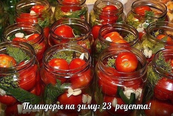 1.Помидоры острые 1.Помидоры острые