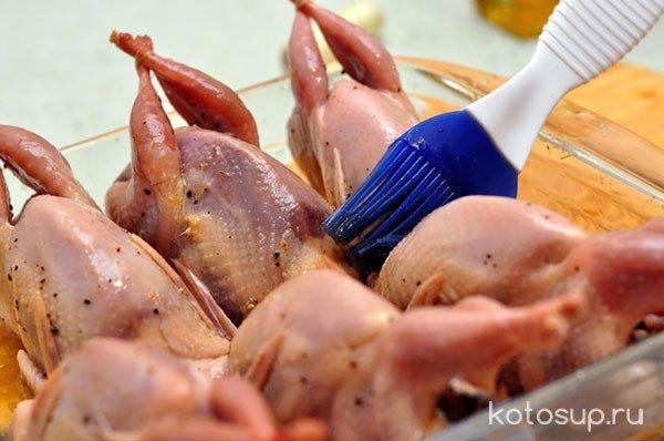 Как приготовить перепелов в духовке Как приготовить перепелов в духовке