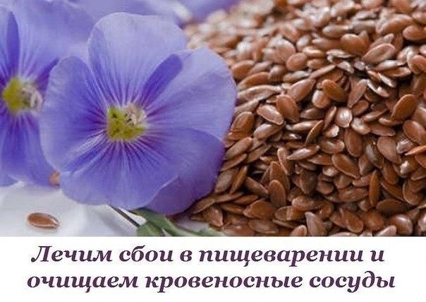 Лен. Лечим сбои в пищеварении и очищаем кровеносные сосуды. Лен. Лечим сбои в пищеварении и очищаем кровеносные сосуды.