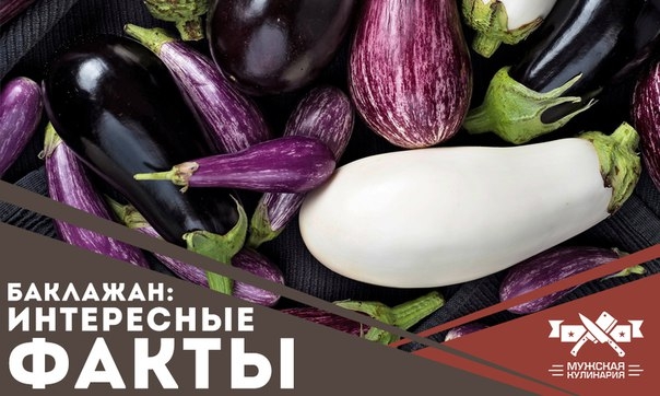 Баклажан: интересные факты Баклажан: интересные факты