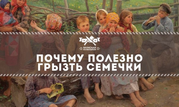 Почему полезно грызть семечки Почему полезно грызть семечки