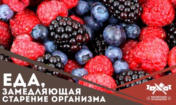 Еда, замедляющая старение организма Еда, замедляющая старение организма