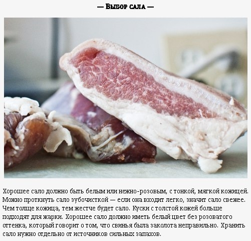 Методы идеальной засолки сала Методы идеальной засолки сала