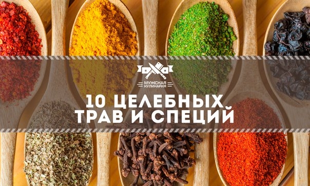 10 целебных трав и специй 10 целебных трав и специй