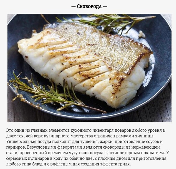 6 типов посуды, которая обязательно пригодится на кухне 6 типов посуды, которая обязательно пригодится на кухне