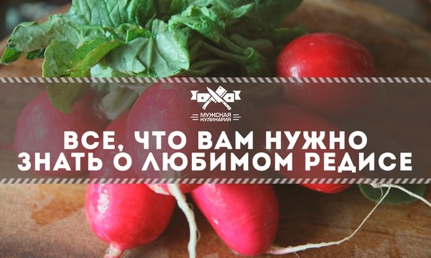Все, что вам нужно знать о любимом редисе Все, что вам нужно знать о любимом редисе