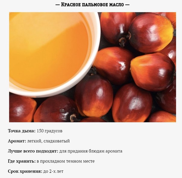 На чем жарить и чем заправлять: 10 основных видов масла На чем жарить и чем заправлять: 10 основных видов масла