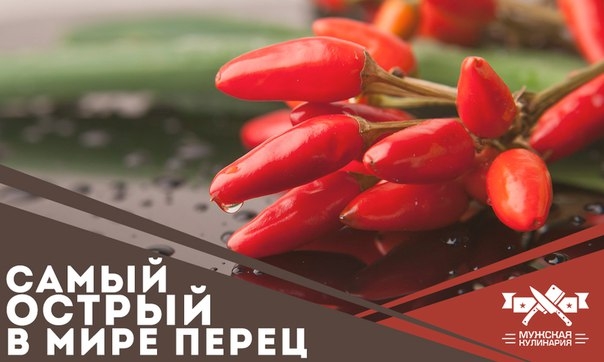 Самый острый в мире перец Самый острый в мире перец