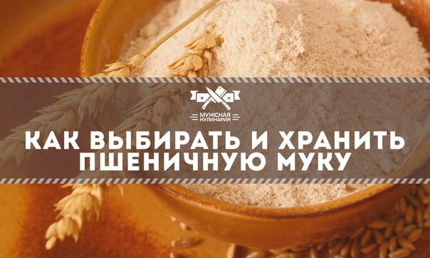 Как выбирать и хранить пшеничную муку Как выбирать и хранить пшеничную муку